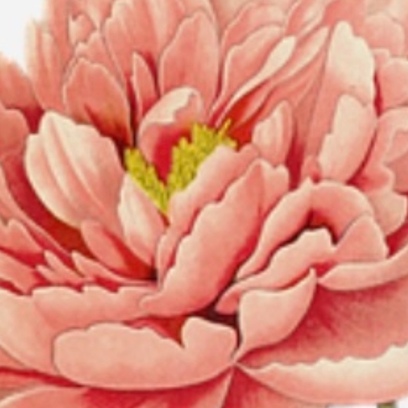 10prettypeony